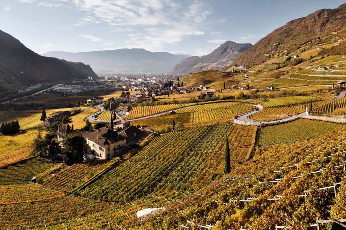 Cantina Bolzano: dopo il successo dei TAL, è sempre più alta la qualità dei vini 